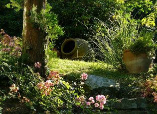 garden-274534_640